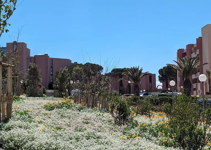 Cosy Vue Et Front De דירה *